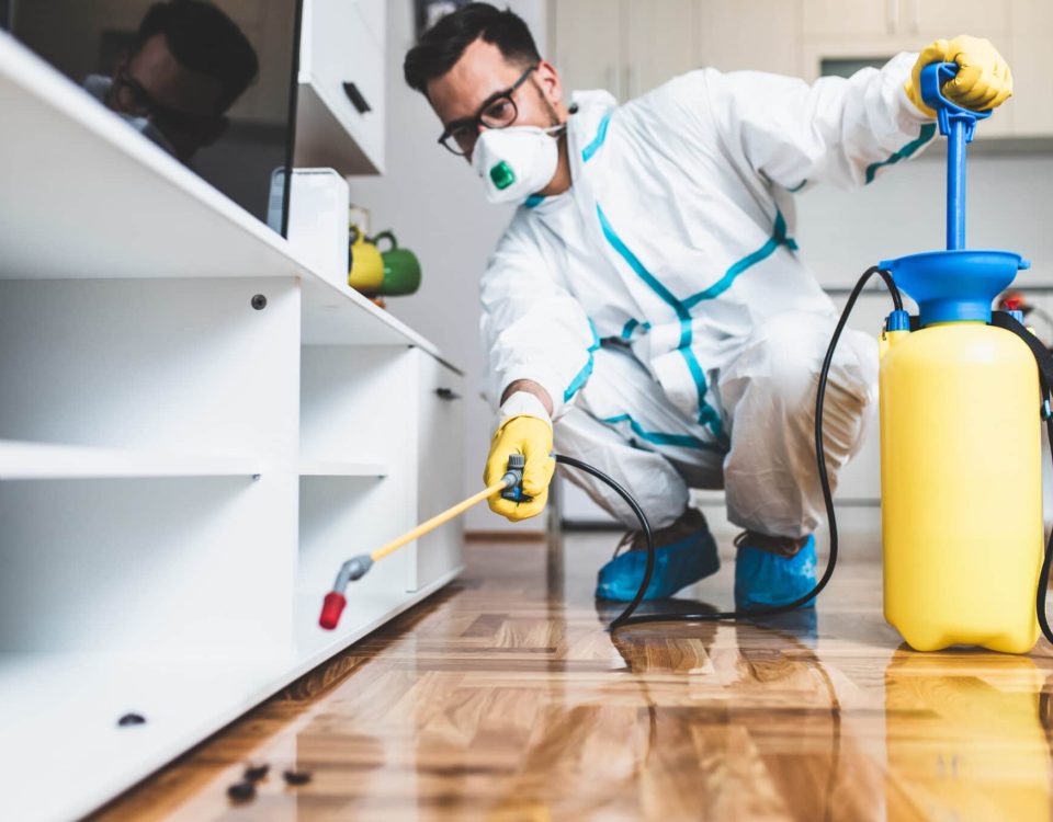 The Best Cleaning Company in the Emirates: A Complete Guide to Choosing the Right Service